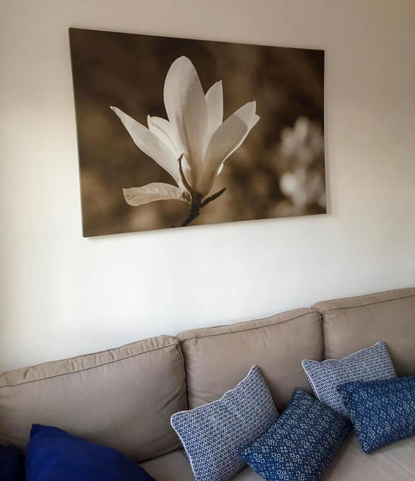 Cielo Azul Apartment Campoamor Exterior photo